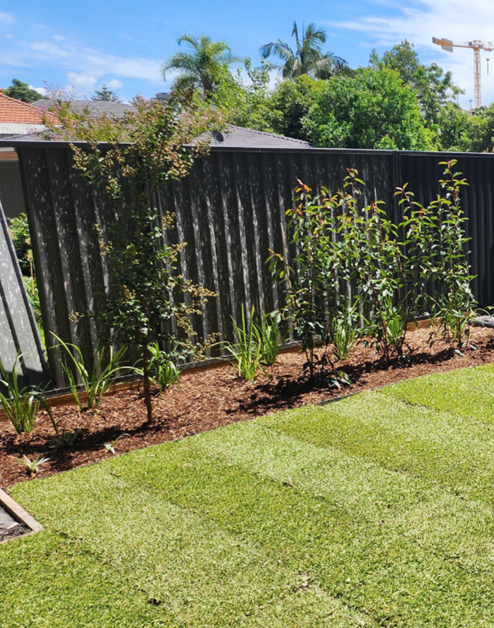 Concrete Retaining Walls Service in Chatswood West