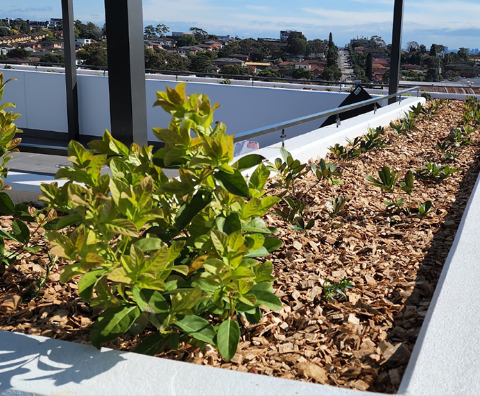 Commercial Landscaping Service Sydney