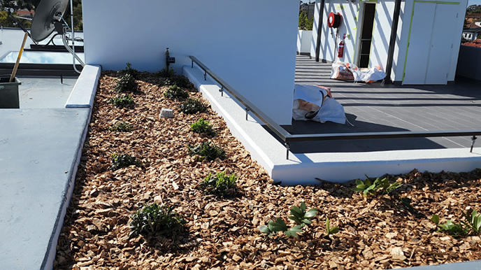 landscaping services Darling Point