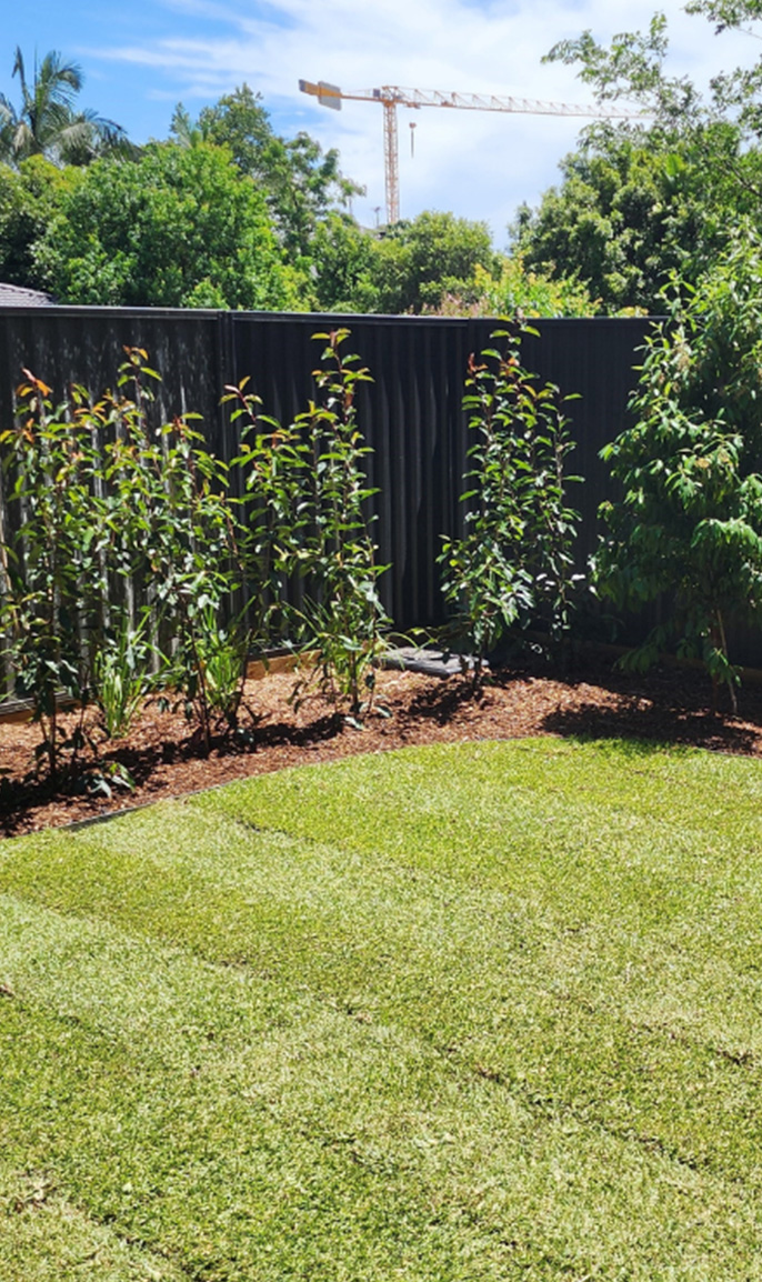 Landscaping Strathfield