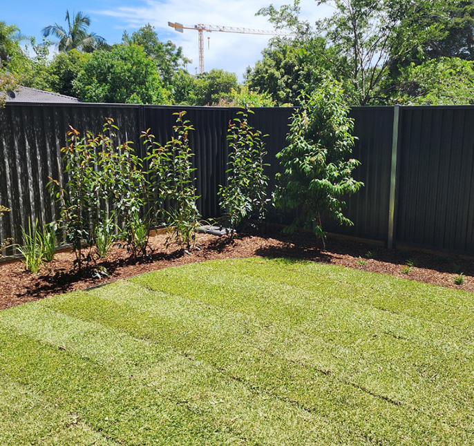 Lawn Irrigation Sydney