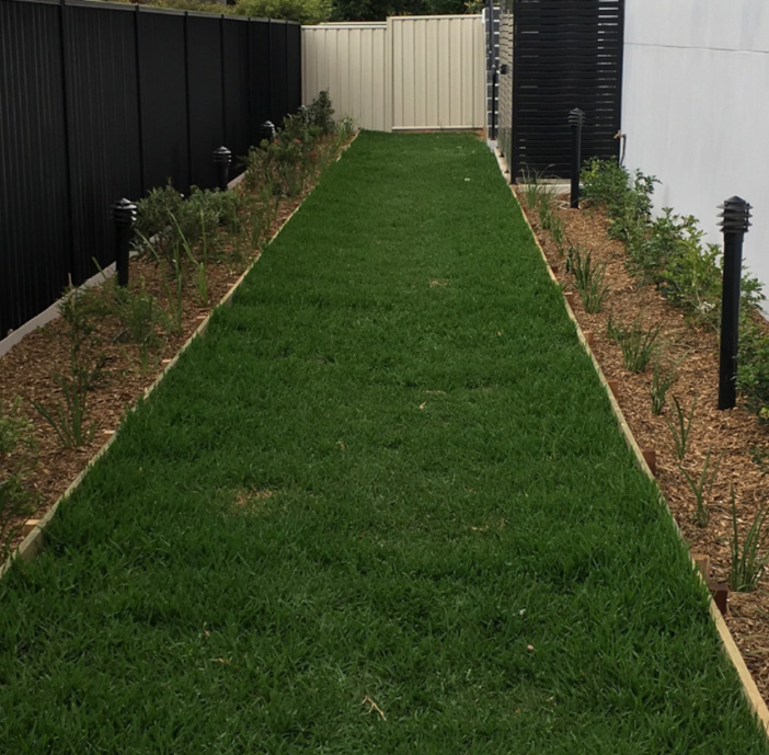 Landscapers Northern Beaches