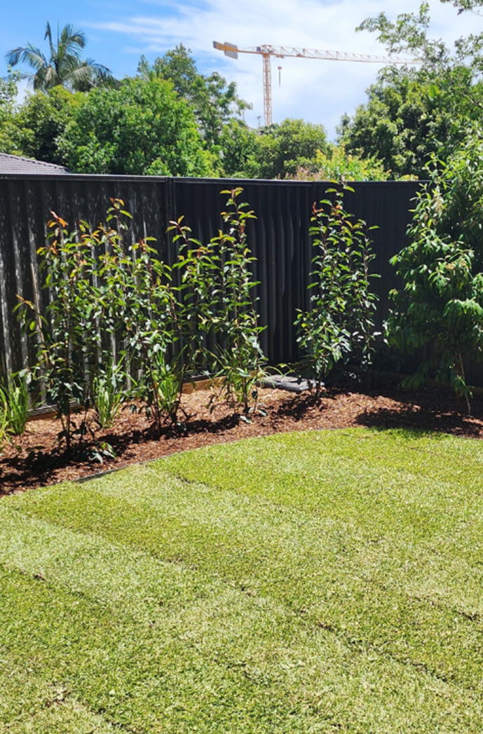 landscaping companies Rose Bay