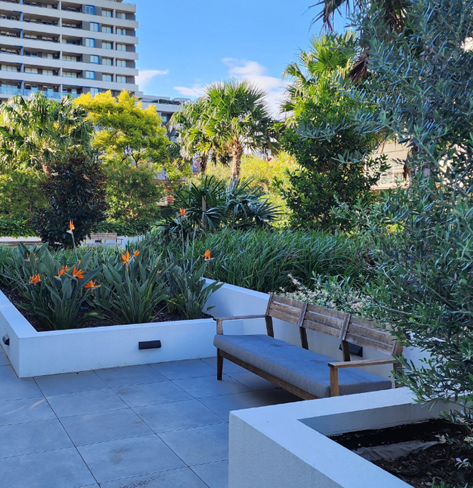 Landscapers Surry Hills