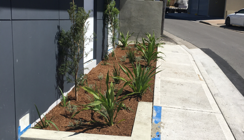 Earlwood